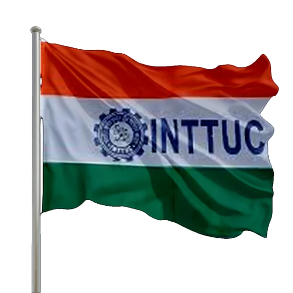 congress party political flag (copy)